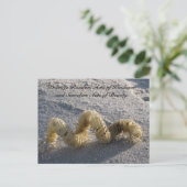 Willekeurige handelingen van het Briefkaart van de (Staand voorkant)