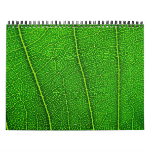 Willekeurige natuurkalender kalender