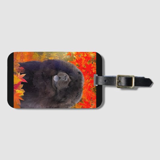 WILLEM BAGAGELABEL (Voorkant (horizontaal))