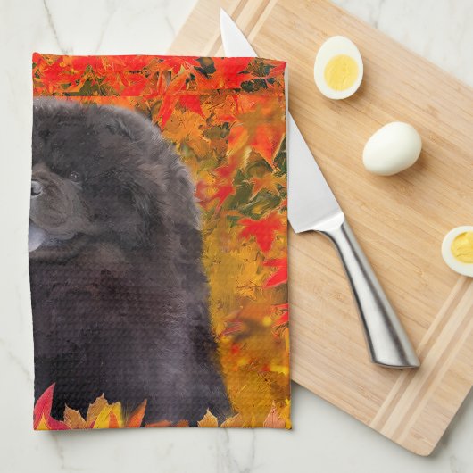 WILLEM - Serviettes de cuisine (Quart Plié)