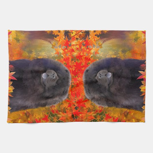 WILLEM - Serviettes de cuisine (Horizontal)