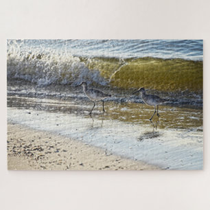 Willet Duo op het eiland Dauphin, Alabama Legpuzzel