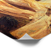 William Blake Jacob’s Ladder Poster (Coin)