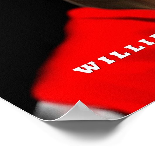 William de Conqueror poster (Hoek)