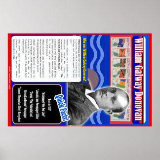 William Galway Donovan Biography Poster