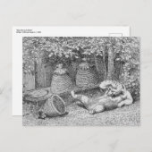 William H. Beard - Bear Stung by Bees Carte postal (Devant / Derrière)
