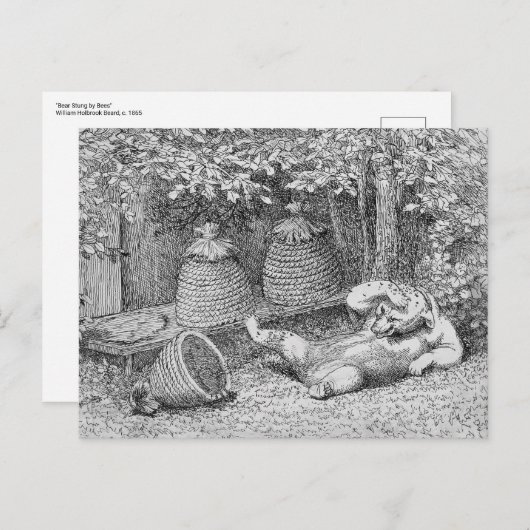 William H. Beard - Bear Stung by Bees Carte postal (Devant / Derrière)