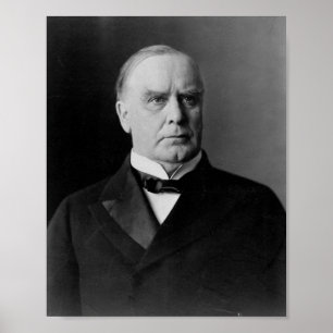 William McKinley Poster