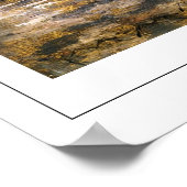 William Merritt Chase Zedign Poster d'art #313 (Coin)