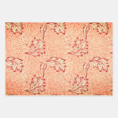 William Morris ARTS EN CRAFTS WRAPPING PAPER SET (Voorkant 3)