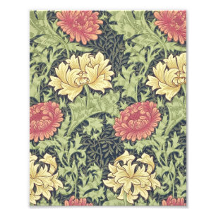 William Morris Chrysanthemum Floral Art Foto Afdruk