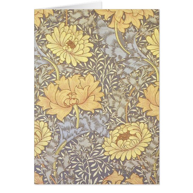 William Morris Chrysanthemum Mum Flowers (Voorkant)