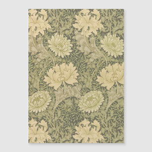 William Morris Chrysanthemum Salie Bloem