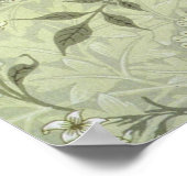 William Morris Jasmine Botanical Poster (Hoek)