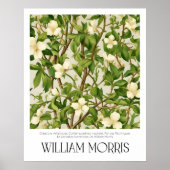 William Morris  White Wildflower Branch Poster (Voorkant)