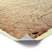 William Shakespeare's Will Poster (Hoek)