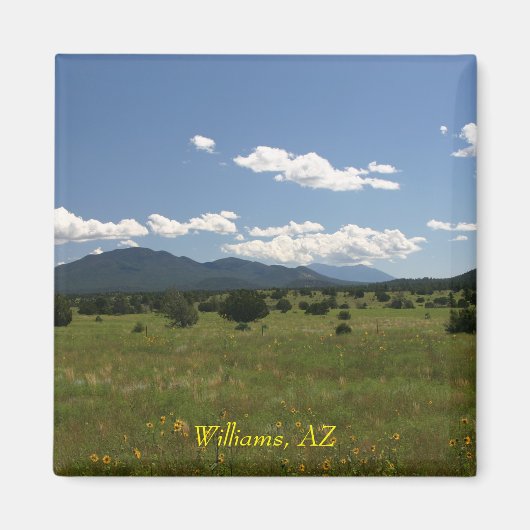 Williams AZ Magneet (Voorkant)