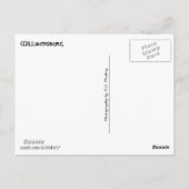 Williamsburg (Virginia) Collage 1 Briefkaart (Achterkant)