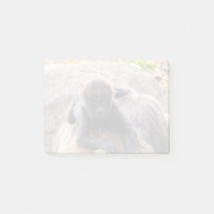 Willie B III in Zoo Atlanta (2023) Post-it® Notes