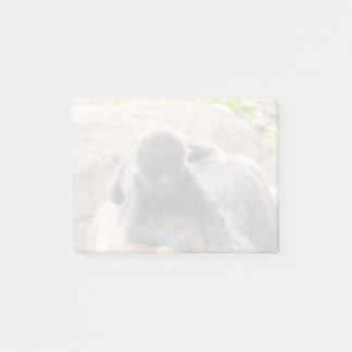 Willie B III in Zoo Atlanta (2023) Post-it® Notes