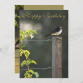 Willie Wagtail Happy Birthday (Voorkant / Achterkant)