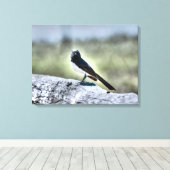WILLIE WAGTAIL OP HEK LANDELIJK QUEENSLAND AUSTRAL CANVAS AFDRUK (Insitu (Houten vloer))