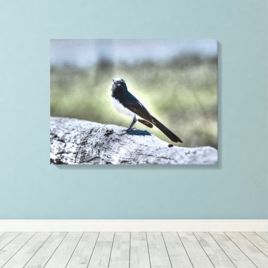 WILLIE WAGTAIL OP HEK LANDELIJK QUEENSLAND AUSTRAL CANVAS AFDRUK (Insitu (Houten vloer))