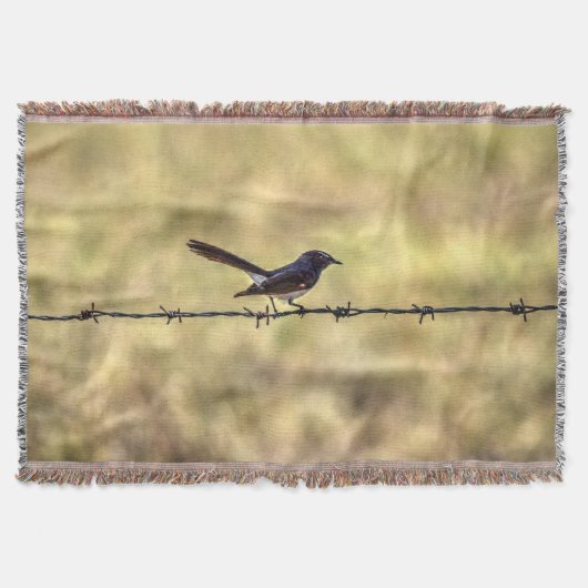 WILLIE WAGTAIL OVER FENCE QUEENSLAND ART EFFECTEN DEKEN (Voorkant)