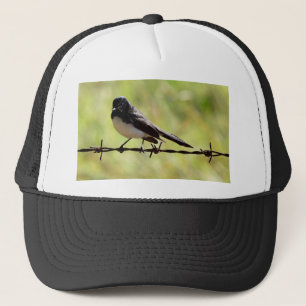 WILLIE WAGTAIL PLRAL QUEENSLAND AUSTRALIË TRUCKER PET
