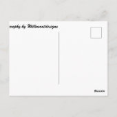 "Willow Cat Sitting" Foto-Briefkaart Briefkaart (Achterkant)