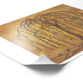 Willow Foto Afdruk (Hoek)