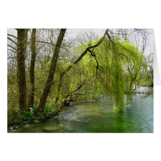 Willow on the River Test card (Devant horizontal)