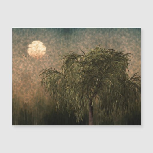 Willow op Sunset (Voorkant)