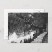 Willow overhandigt de rivier briefkaart (Voorkant / Achterkant)