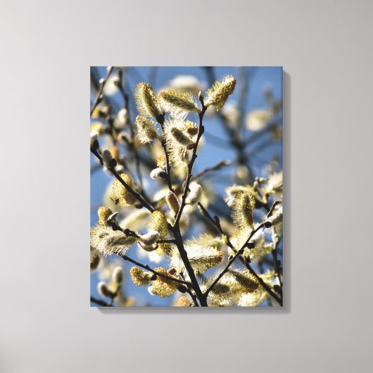 WILLOW TREE CANVAS AFDRUK (Voorkant)