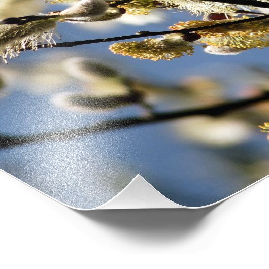 WILLOW TREE FOTO AFDRUK (Hoek)