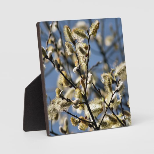 WILLOW TREE FOTOPLAAT (Voorkant)