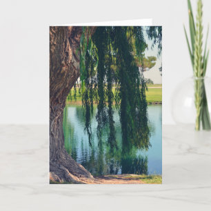 Willow Tree pleut par carte de voeux du lac