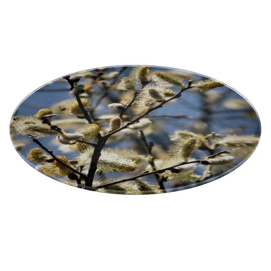 WILLOW TREE SNIJPLANK (Hoek)