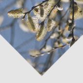 WILLOW TREE TISSUEPAPIER (Detail)