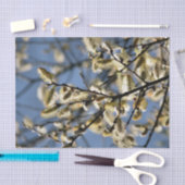 WILLOW TREE TISSUEPAPIER (Craft)