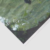 Willow Witch Links tegenover Weefselpapier Tissuepapier (Detail)