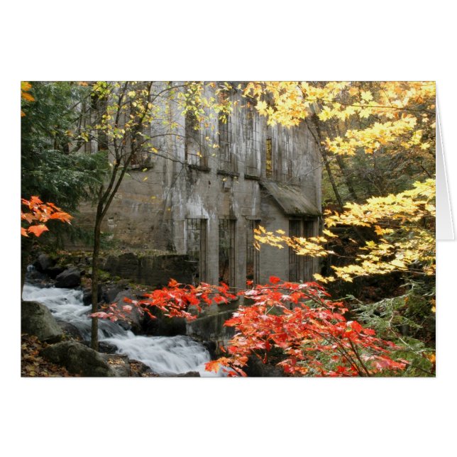 Willson's Ruins, Quebec. (Voorkant Horizontaal)