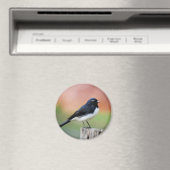 Willy Wagtail - Australische vogelkunst Magneet (Insitu (Vaatwasser))