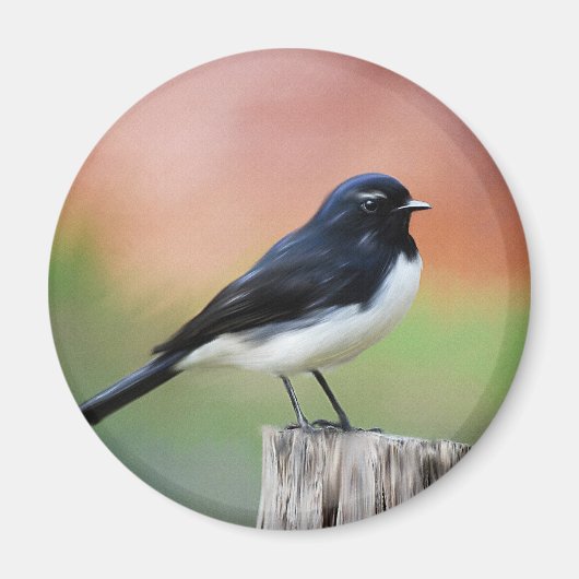 Willy Wagtail - Australische vogelkunst Magneet (Voorkant)