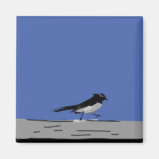 Willy Wagtail Magnet Magneet