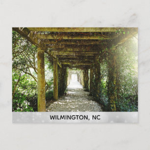 Wilmington North Carolina Airlie Gardens Travel Briefkaart