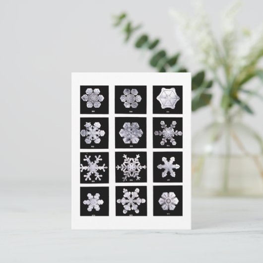 Wilson Bentley Snowflakes Briefkaart (Staand voorkant)