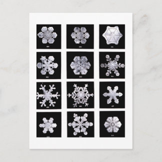 Wilson Bentley Snowflakes Briefkaart