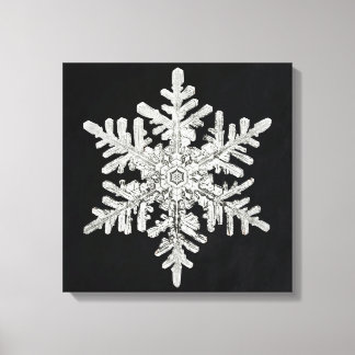 Wilson Bentley's Snowflake Canvas Afdruk